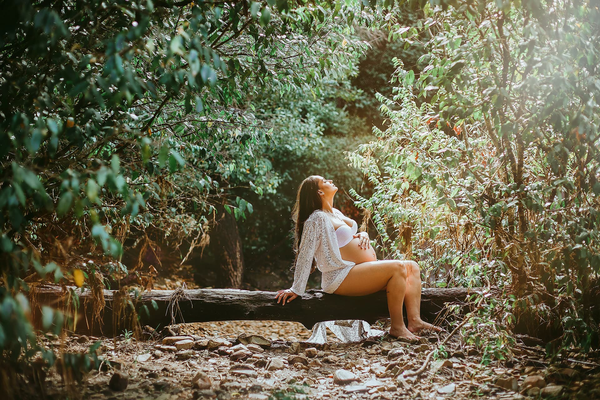 Mujer embarazada en el bosque